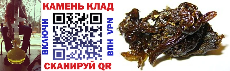гидра ССЫЛКА Тында ГАШ Ice-O-Lator