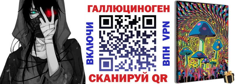 Псилоцибиновые грибы Psilocybine cubensis  Тында 