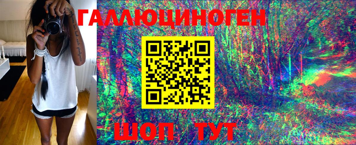Тында  Псилоцибиновые грибы Cubensis  Вход с VPN 